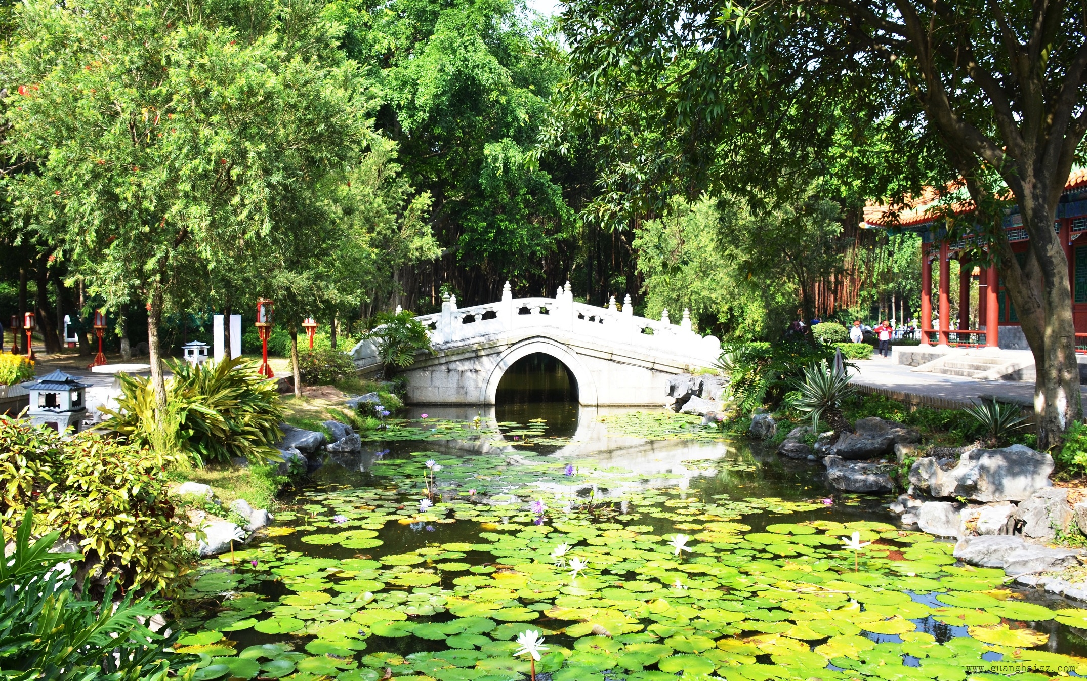 �����ϸ硤(�й�)���ֲ��ٷ���վ