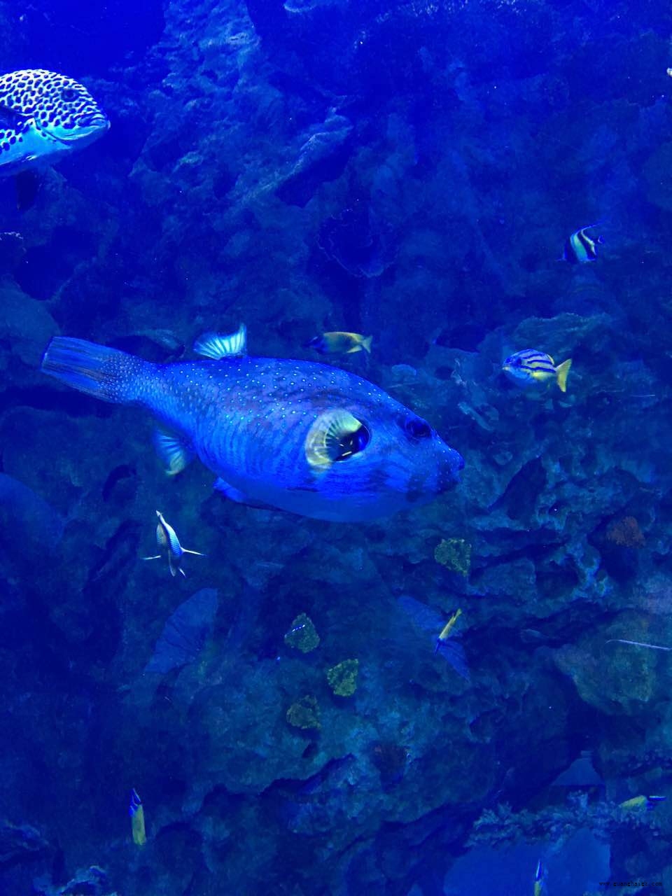 �����ϸ硤(�й�)���ֲ��ٷ���վ