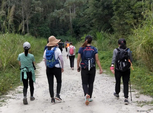 �����ϸ硤(�й�)���ֲ��ٷ���վ