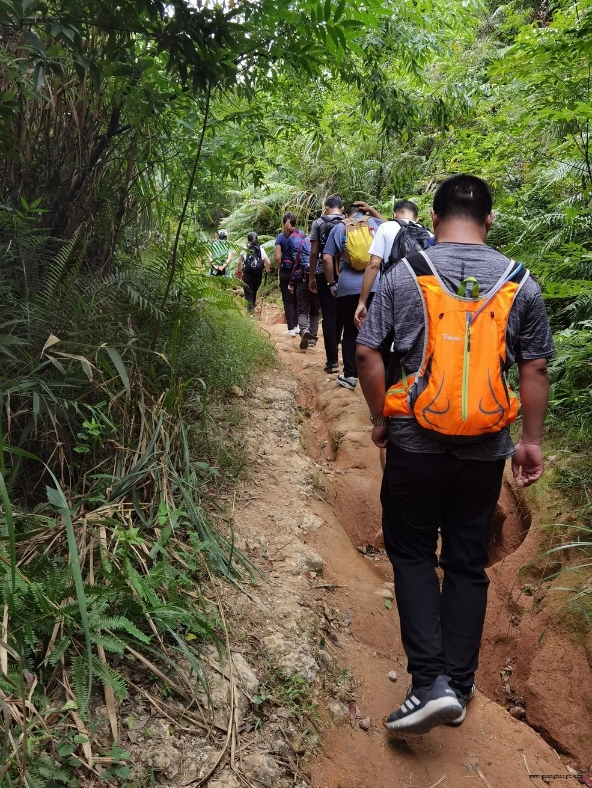 �����ϸ硤(�й�)���ֲ��ٷ���վ