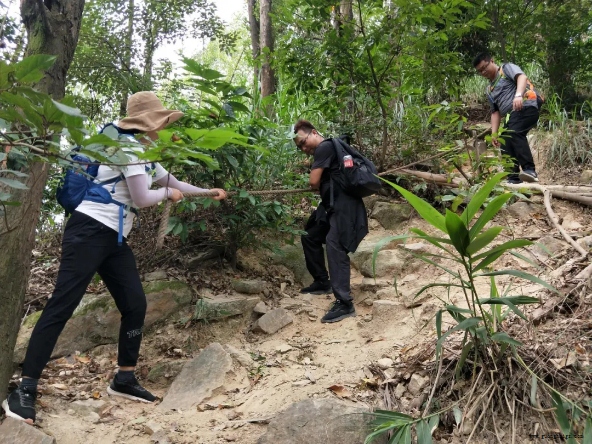 �����ϸ硤(�й�)���ֲ��ٷ���վ