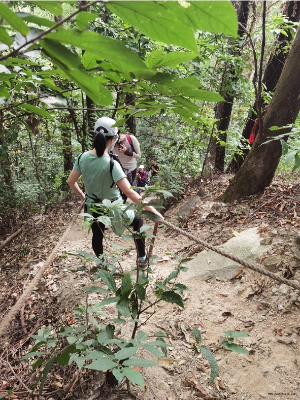 �����ϸ硤(�й�)���ֲ��ٷ���վ